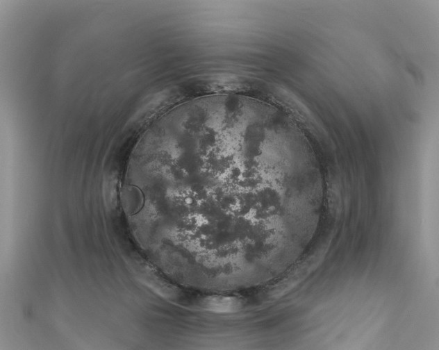 X0000110960169200906261349