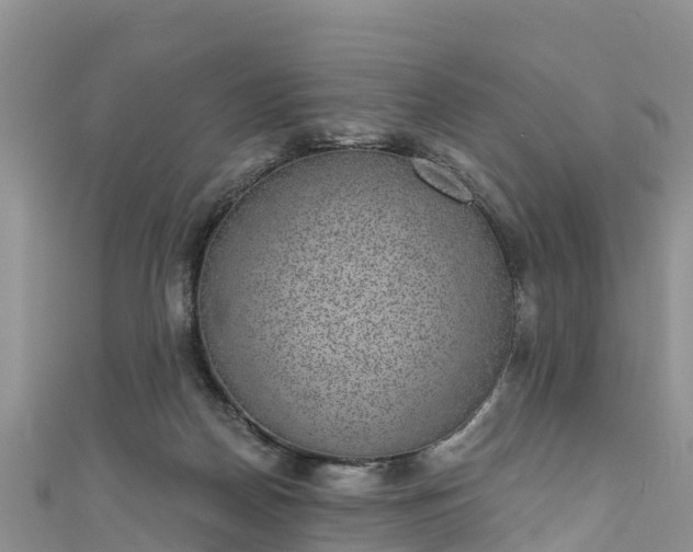 X0000110960170200906261349