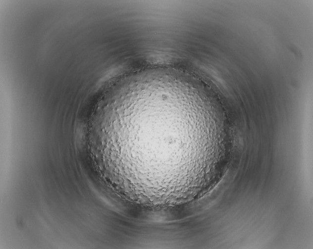 X0000110960171200906261349