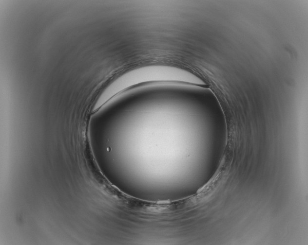 X0000110960172200906261349