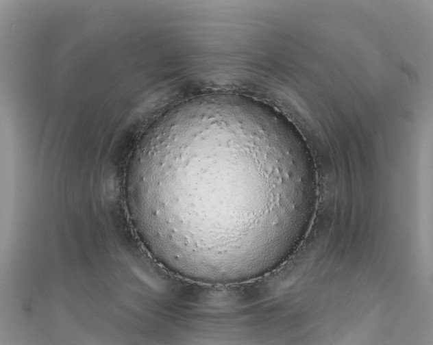 X0000110960173200906261349