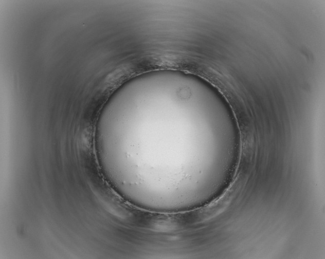 X0000110960175200906261349