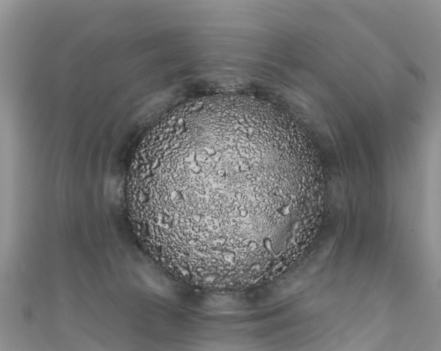 X0000110960177200906261349