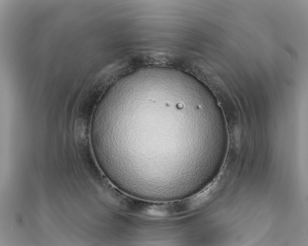 X0000110960178200906261349