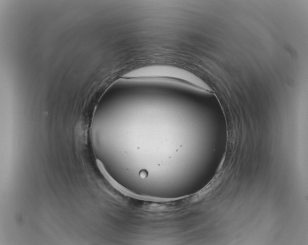 X0000110960180200906261349