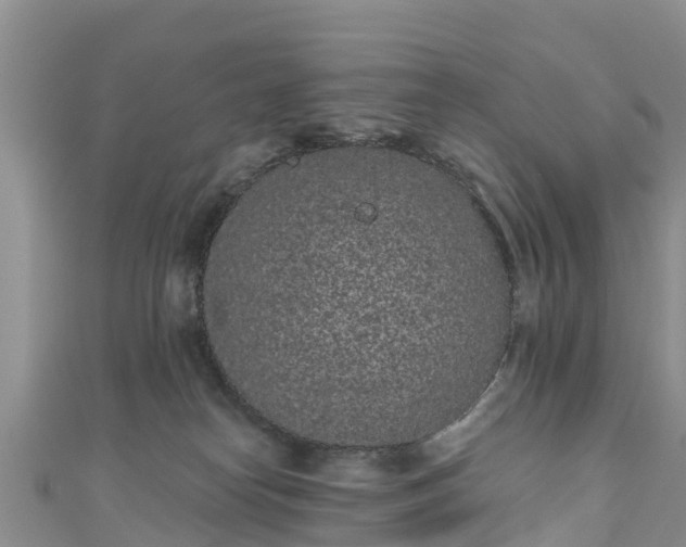 X0000110960182200906261349