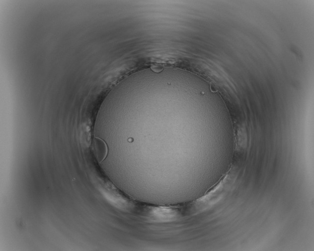 X0000110960183200906261349