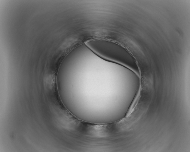 X0000110960184200906261349