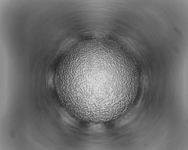 X0000110960185200906261349