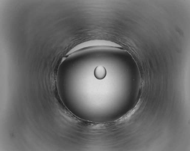 X0000110960186200906261349