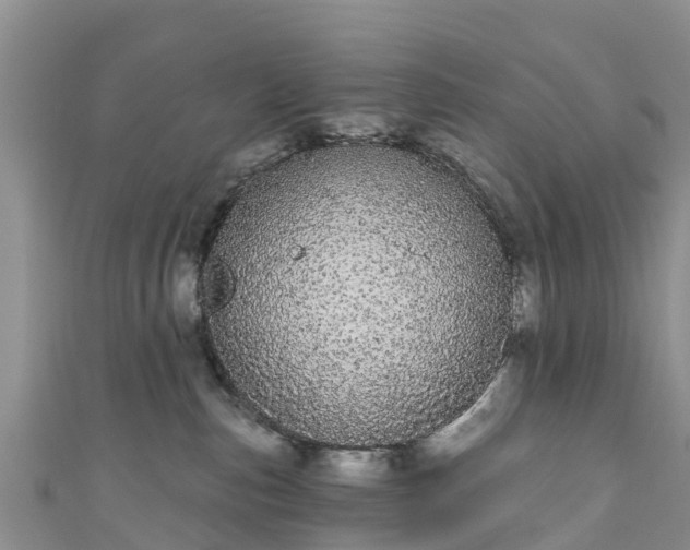 X0000110960187200906261349