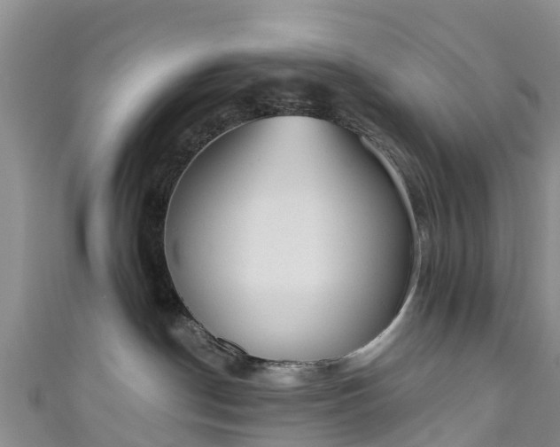 X0000110960190200906261349