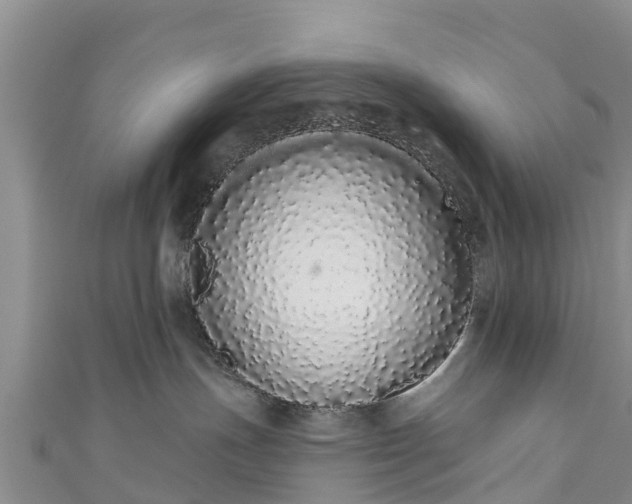 X0000110960191200906261349