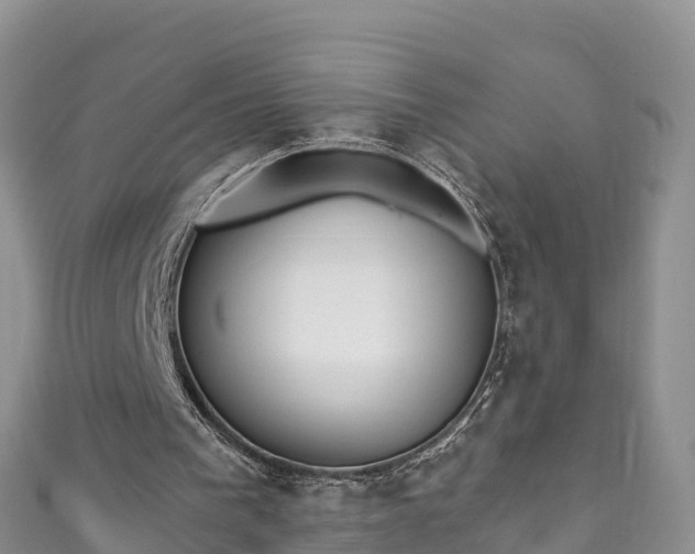 X0000110960193200906261349