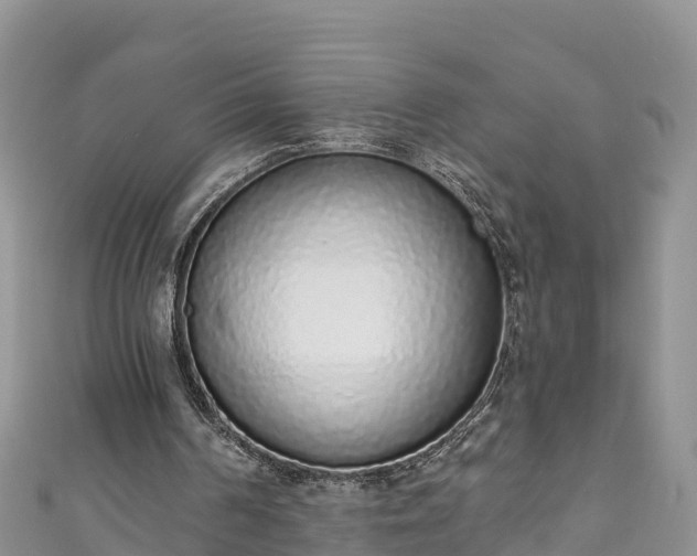 X0000110960194200906261348