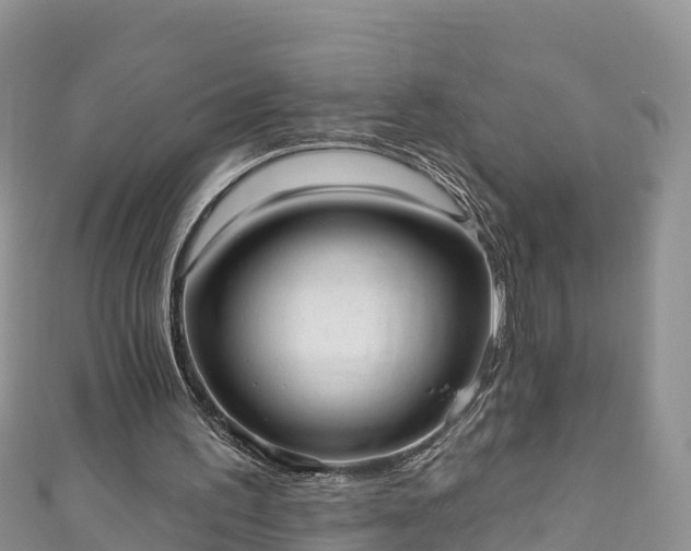 X0000110960195200906261348