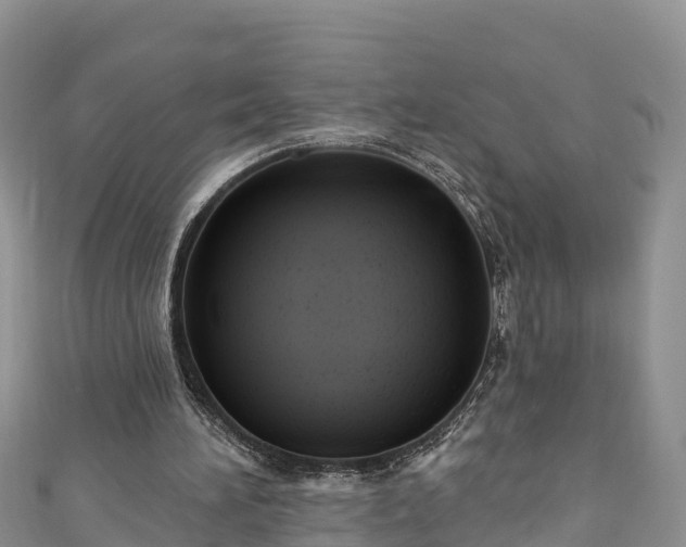 X0000110960196200906261348