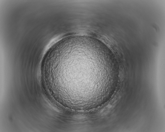 X0000110960198200906261348