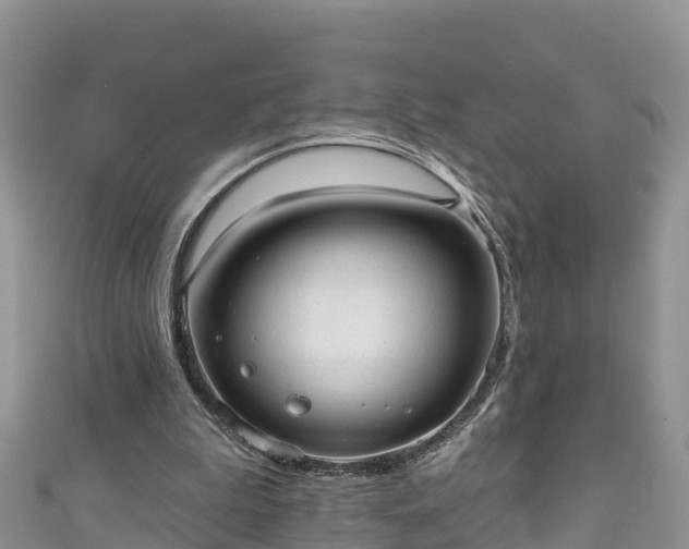 X0000110960199200906261348