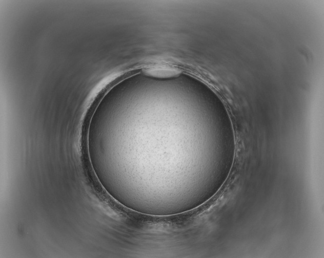 X0000110960200200906261348