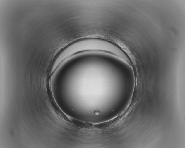 X0000110960201200906261348