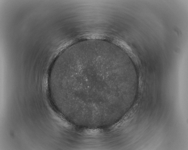 X0000110960202200906261348