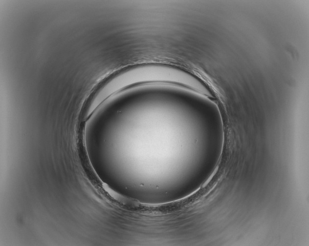 X0000110960203200906261348