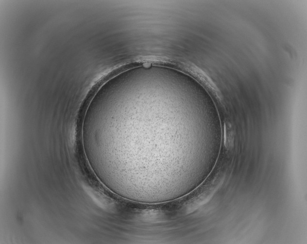 X0000110960204200906261348