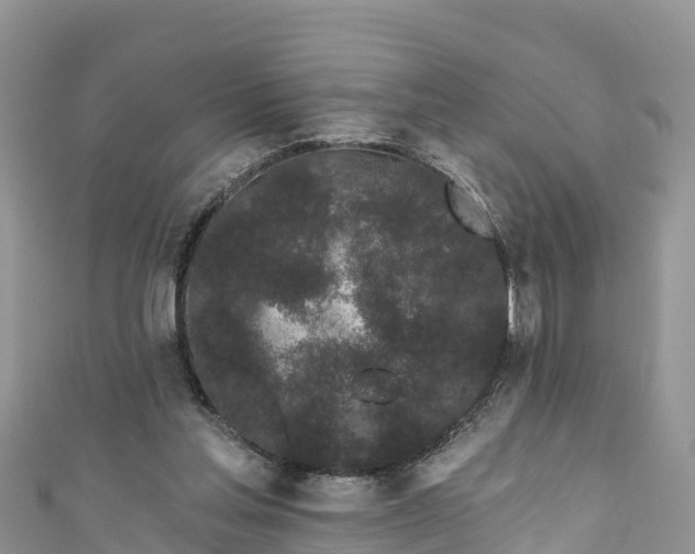 X0000110960205200906261348