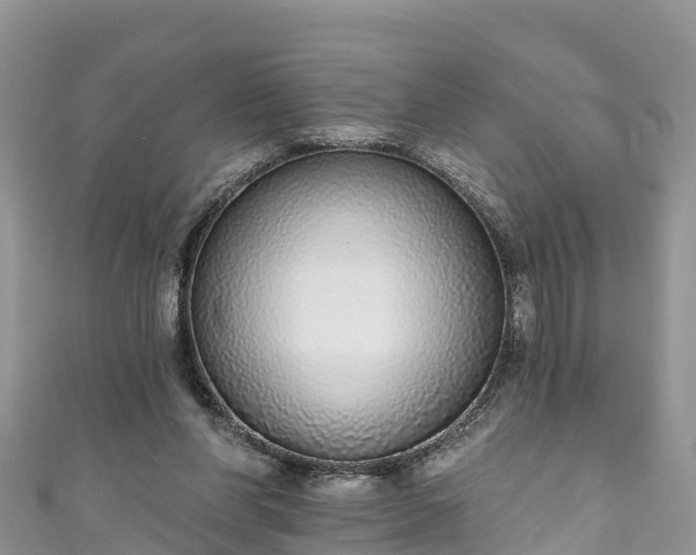 X0000110960206200906261348