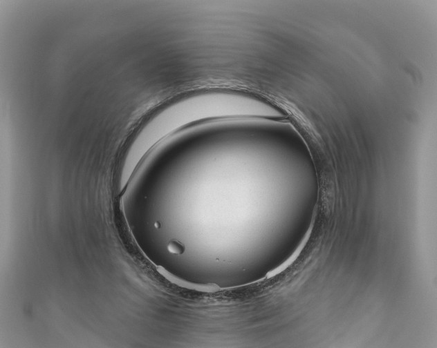 X0000110960207200906261348