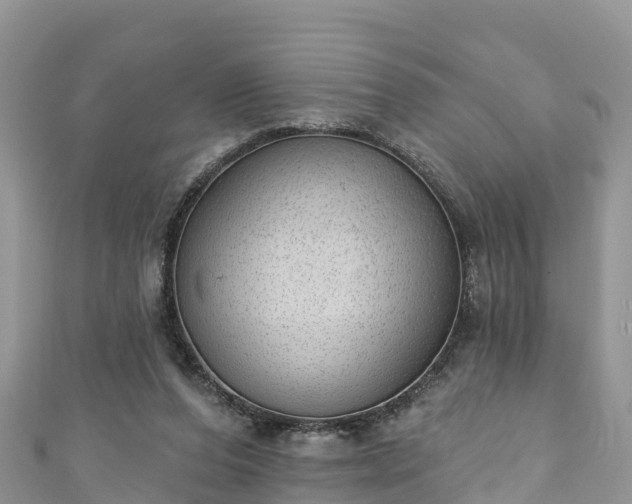 X0000110960208200906261348