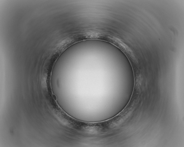 X0000110960209200906261348