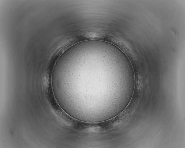 X0000110960210200906261348