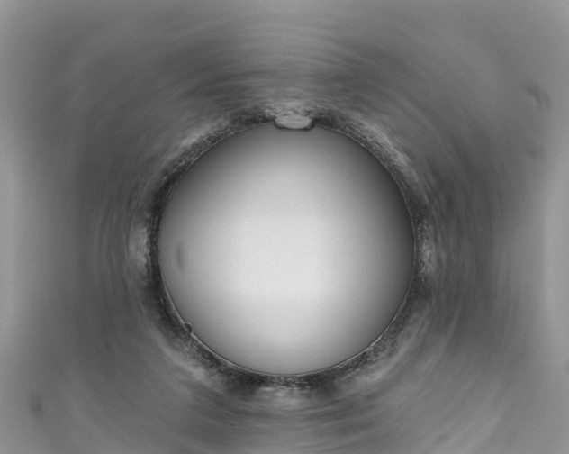 X0000110960211200906261348