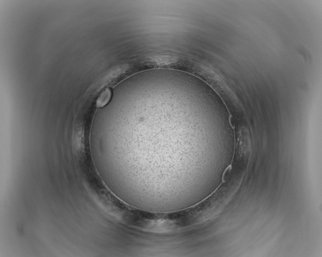 X0000110960212200906261348