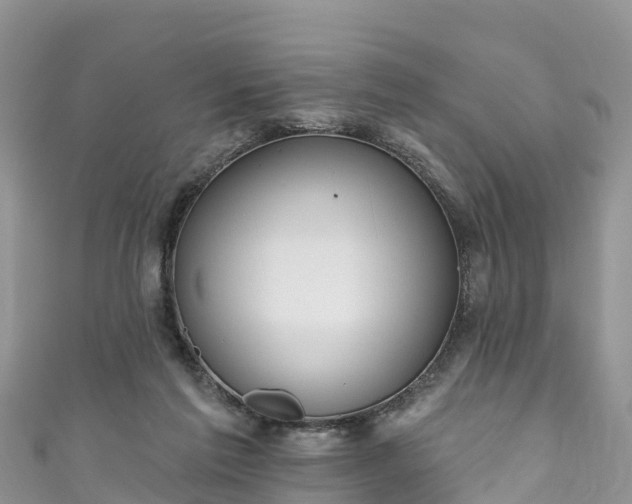 X0000110960213200906261348