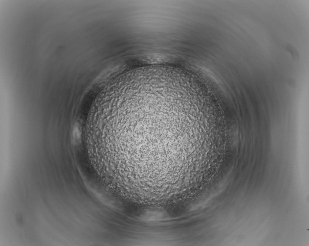 X0000110960214200906261348