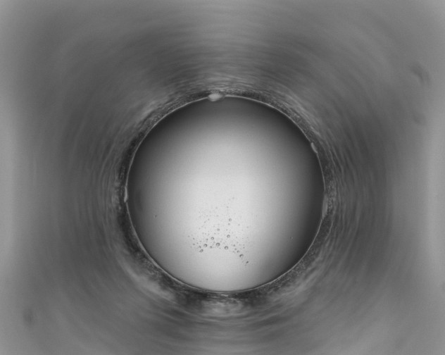 X0000110960215200906261348