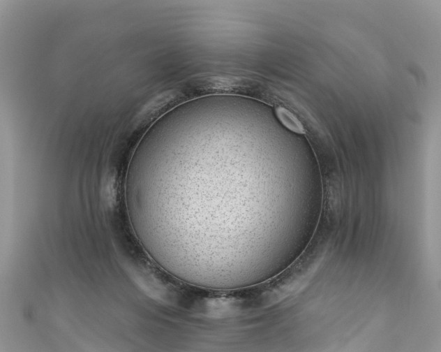 X0000110960216200906261348