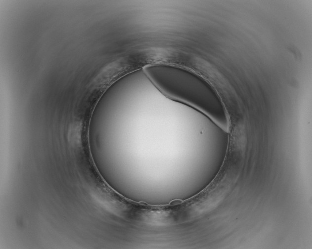 X0000110960217200906261348