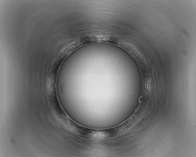 X0000110960218200906261348