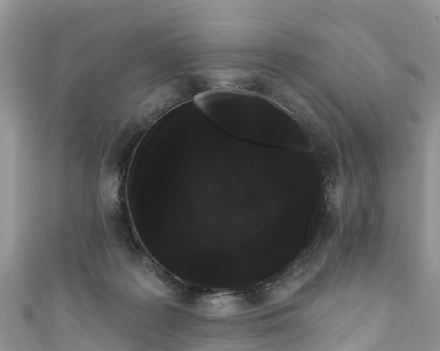 X0000110960219200906261348