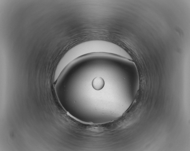 X0000110960221200906261348