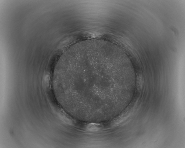 X0000110960222200906261348