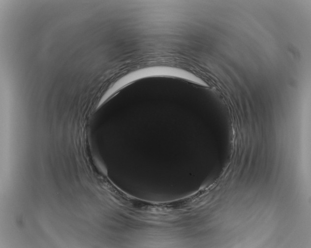 X0000110960223200906261348