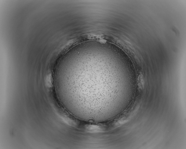 X0000110960224200906261348