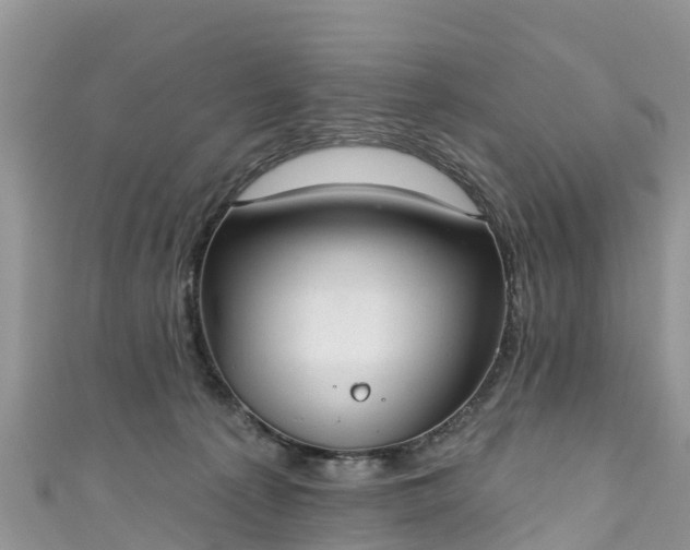 X0000110960225200906261348