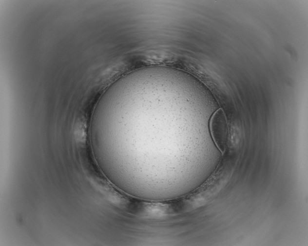 X0000110960226200906261348