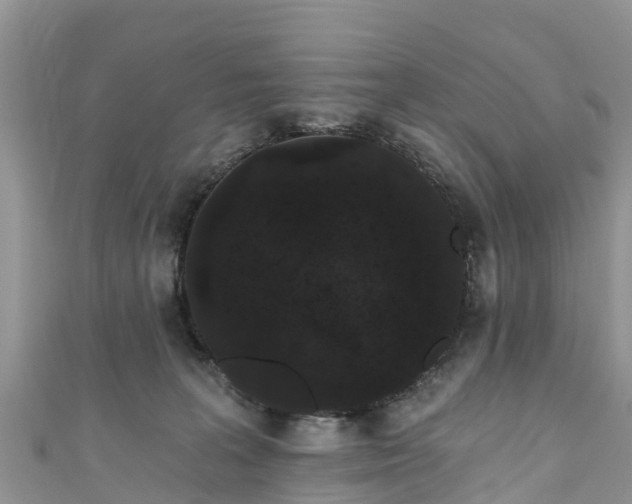 X0000110960227200906261348